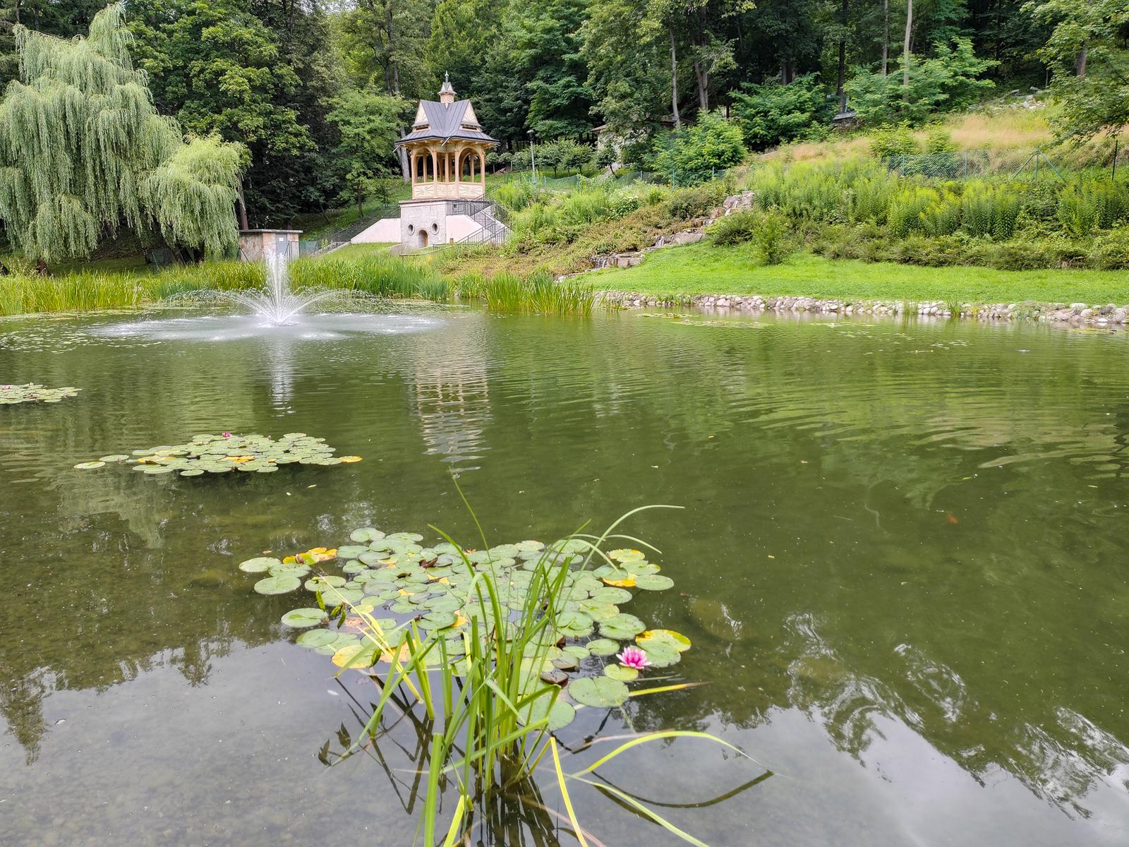 Staw z liliami wodnymi i fontanną w Parku Dolnym w Szczawnicy